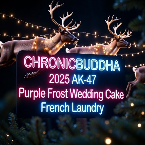 $175 Top Tier Flower