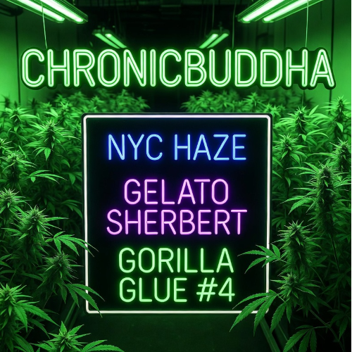 $175 HOLIDAY WEED SALE