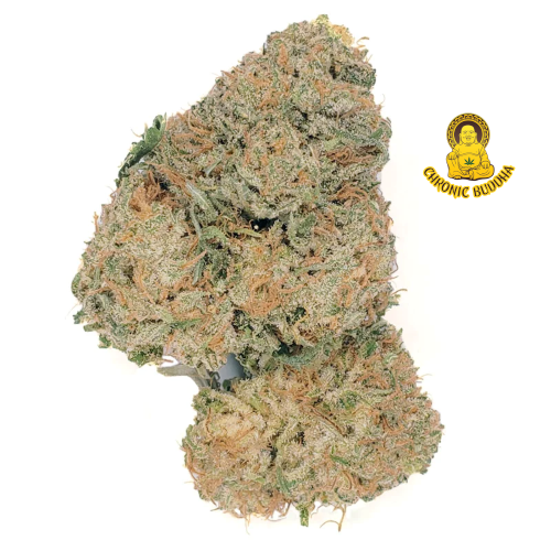 Yellow Mermaid 4G