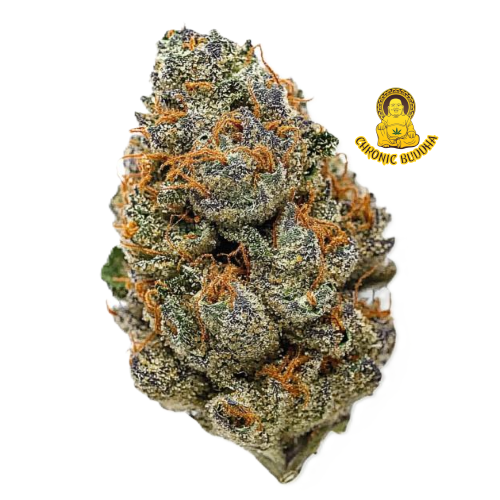 LAMBS BREAD X JAMAICAN JAM