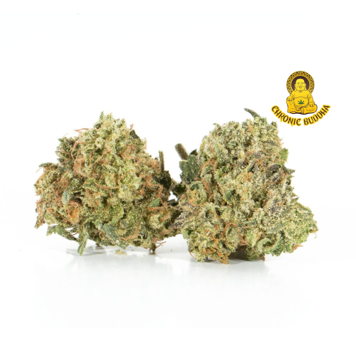 LAMBS BREAD X JAMAICAN JAM